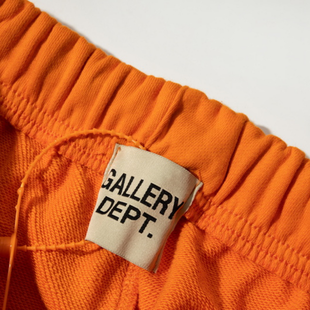 GALLERY DPT. PAINT PANTS