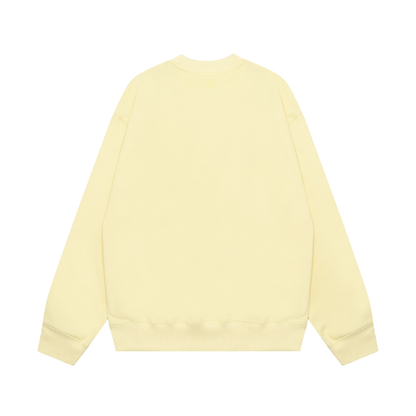 AMI HOODIE