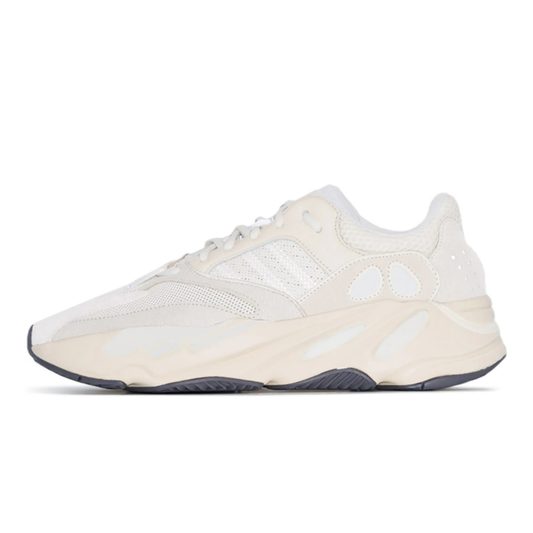 YZY - 700 "ANALOG”